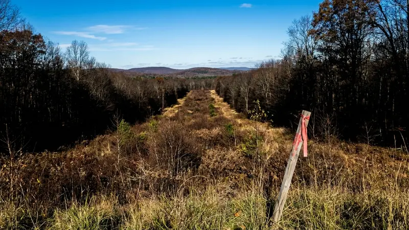 EPA Chief Zeldin Travels to New York to Revive Williams' Long-Stalled Constitution Pipeline - FieldNews