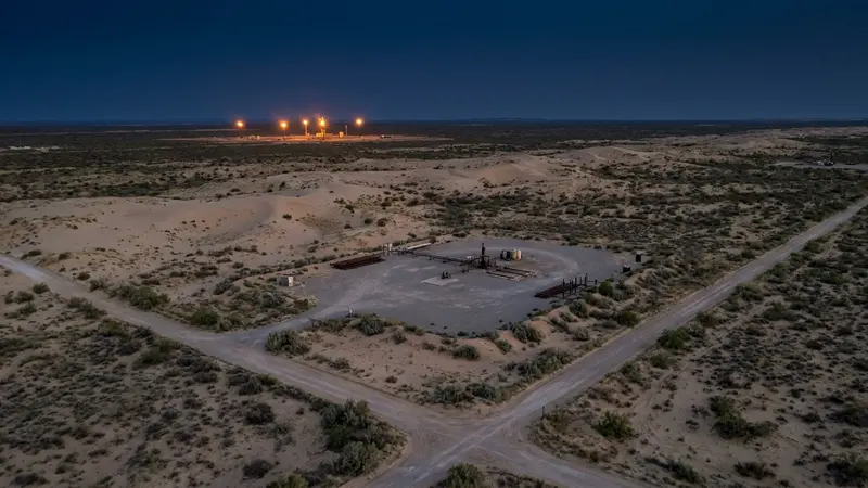 Trump Administration Moves to Delist Permian Basin Lizard, Easing Drilling Restrictions - FieldNews
